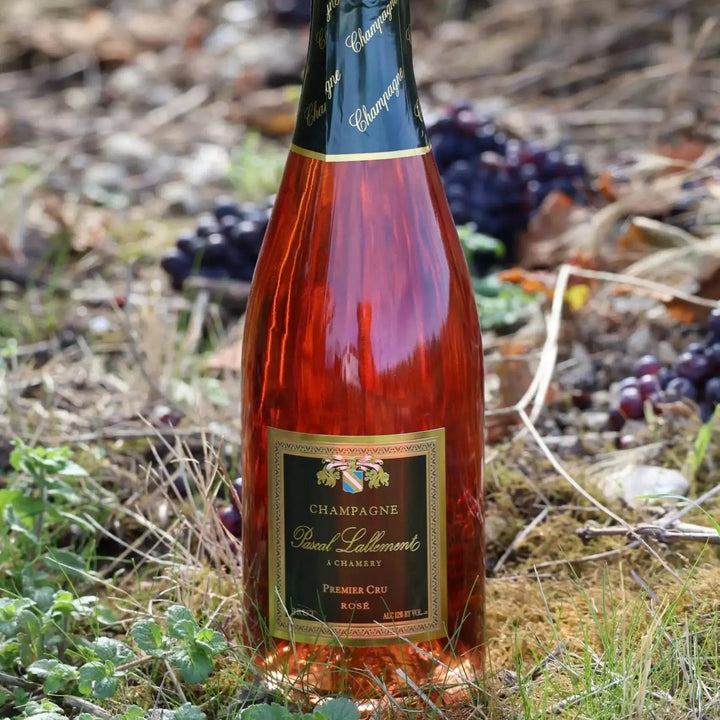 صندوق من Premier Crus Brut وDemi-Sec وRosé Champagnes
