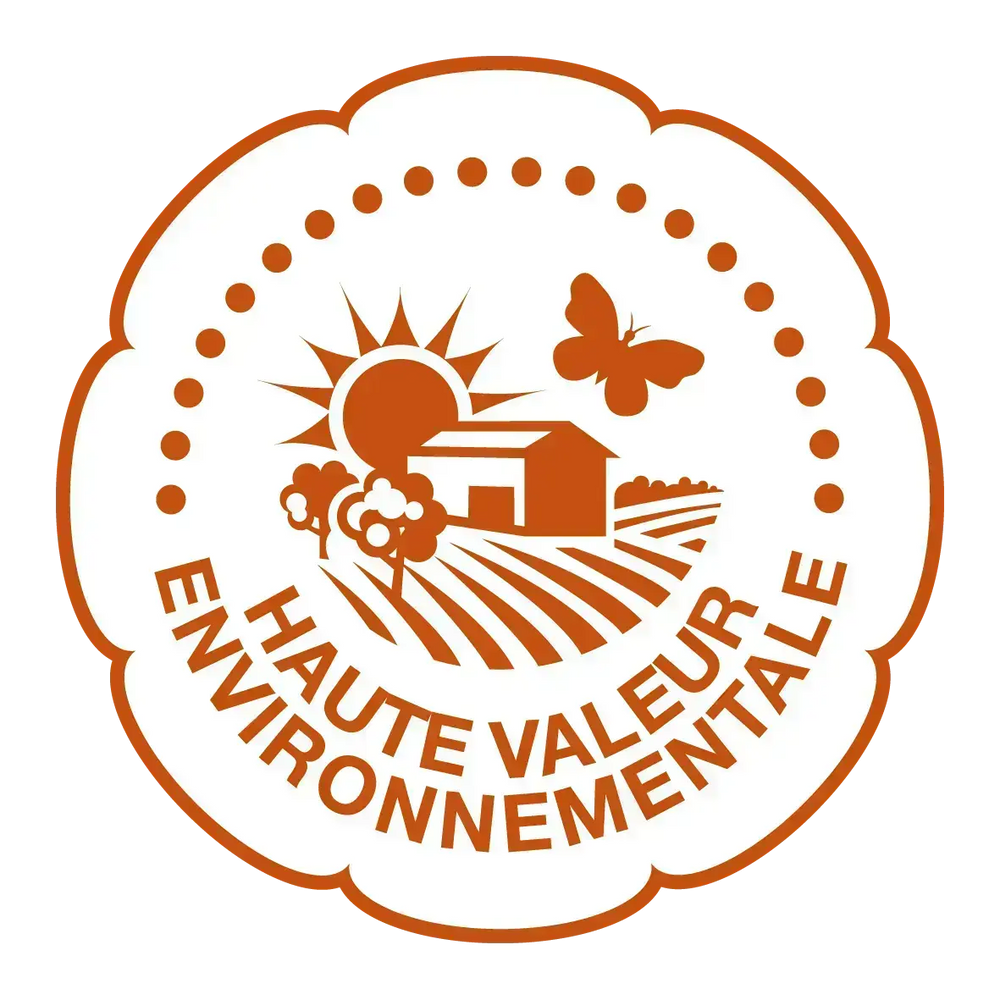 Champagne Tradition Brut Premier Cru 75 cl - Foie Gras Gourmet