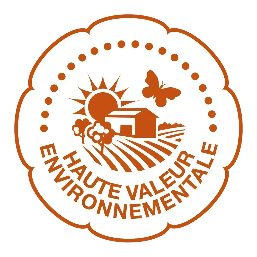 Champagne Tradition Brut Premier Cru 75 cl - Foie Gras Gourmet