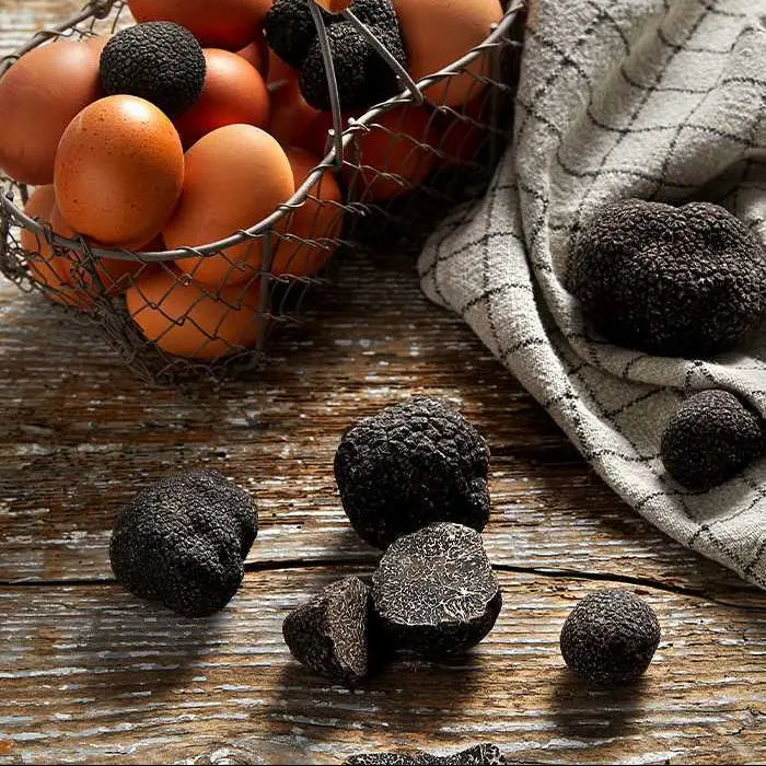 Truffes noires entières Plantin